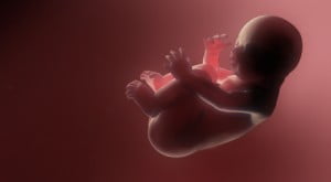 Aşılama Yöntemiyle Çocuk Sahibi Nasıl Olunur ?