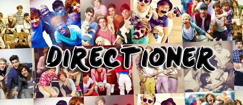 Directioner Nasıl Olunur ?
