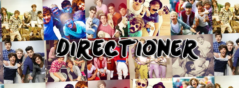 Directioner Nasıl Olunur ?