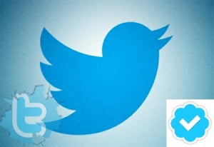 Twitterda Çevirmen Nasıl Olunur ?