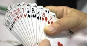 Profesyonel Briç Oyuncusu Nasıl Olunur ?