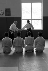 Aikidocu (Aikidoka) Nasıl Olunur ?