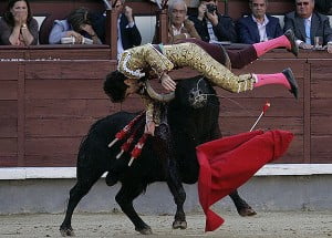 Matador Nasıl Olunur ?