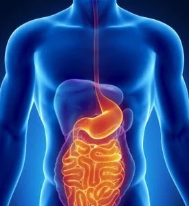 Helicobacter Pylori Sahibi Nasıl Olunur ?