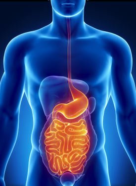 Helicobacter Pylori Sahibi Nasıl Olunur ?