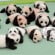 Panda Bakıcısı Nasıl Olunur ? Panda Bakıcısı Nasıl Olunur ? Evet böyle bir şey var. Fakat bu işten büyük paralar kazanacağınızı hayal ediyorsanız çok daha sıkı araştırmalar yapmanız gerekebilir.