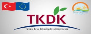 TKDK Uzmanı Nasıl Olunur ?