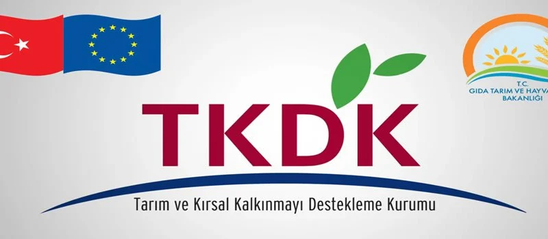 TKDK Uzmanı Nasıl Olunur ?