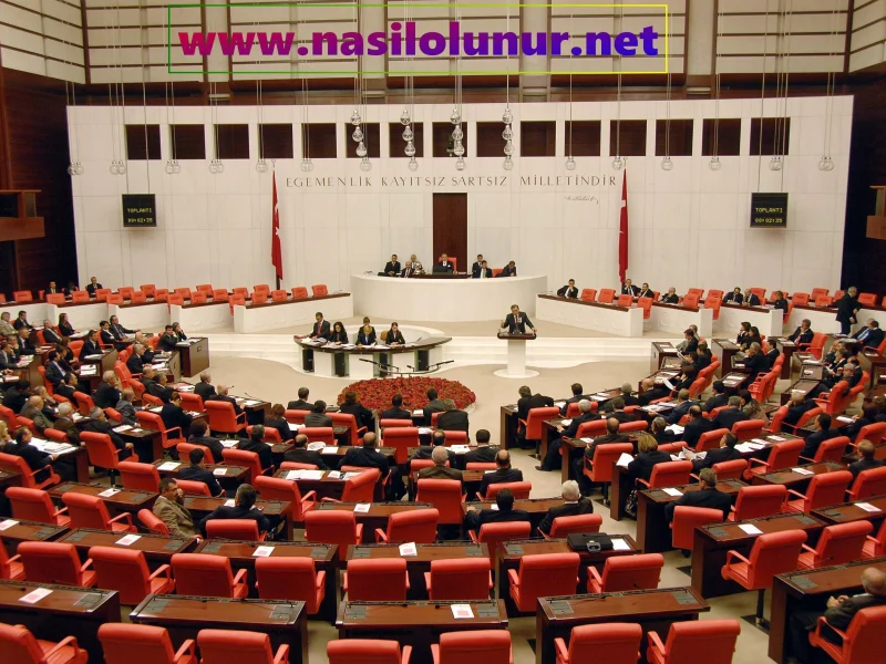 Milletvekili Nasıl Olunur ?