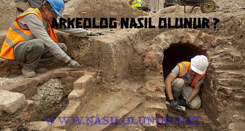 Arkeolog Nasıl Olunur ?