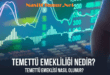 Temettü Emekliliği ile Finansal Özgürlük