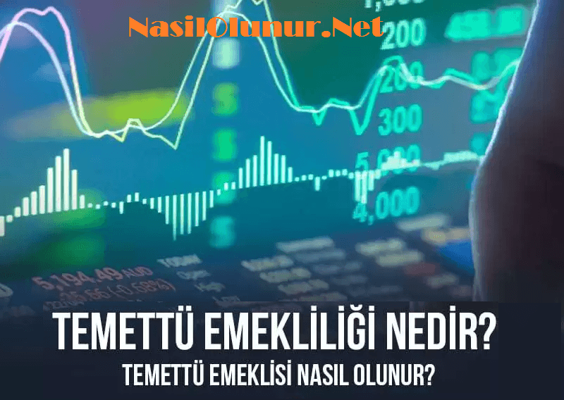 Temettü Emekliliği ile Finansal Özgürlük